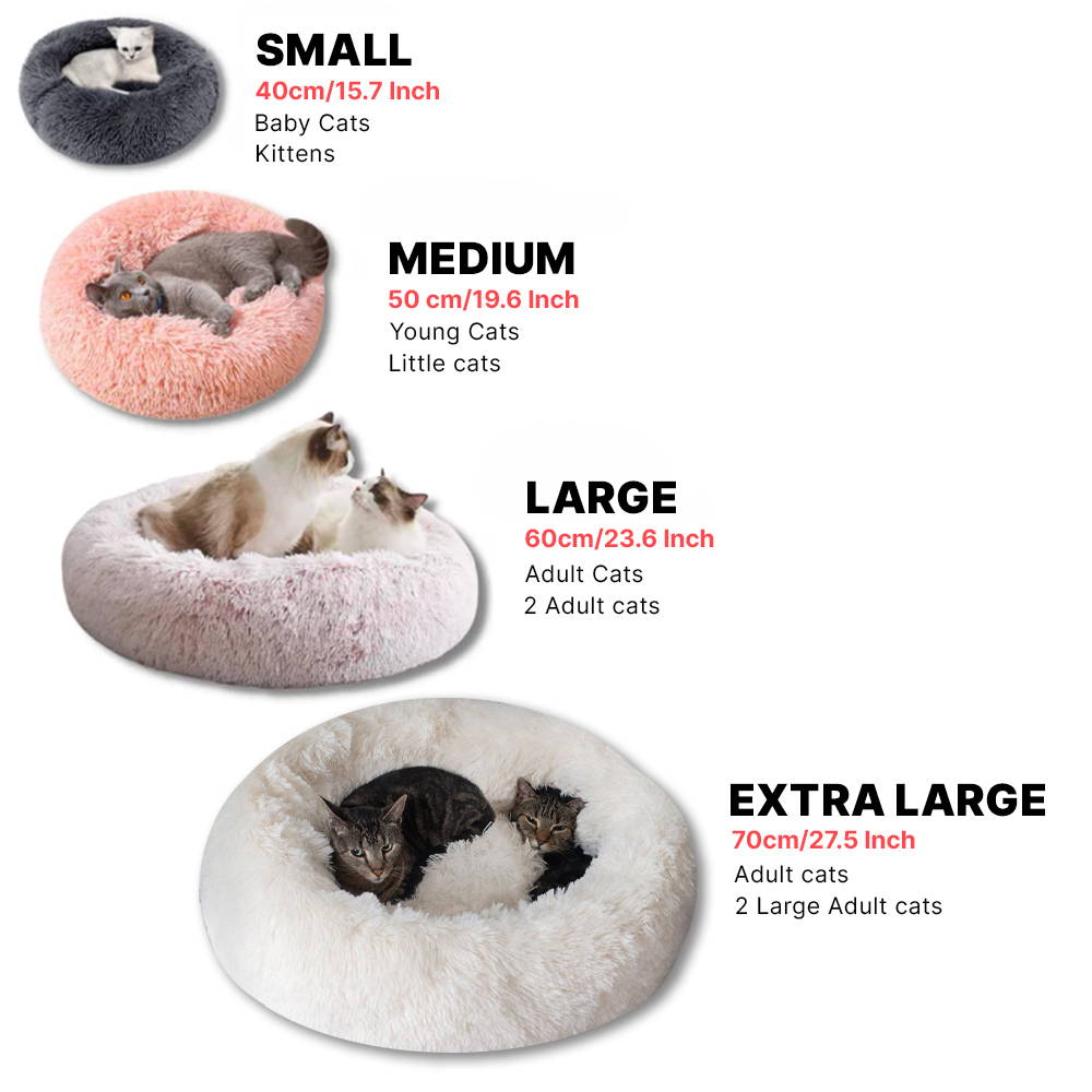 Adult cat bed outlet